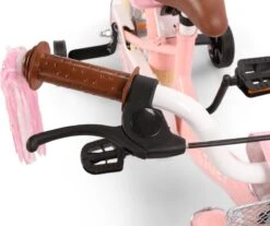 SJOEF Dolly Meisjesfiets 12 Inch - Roze 17 SJOEF Dolly Meisjesfiets 12 Inch - Roze -fiets 1200x1007