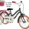 2Cycle Pretty Meisjesfiets - 16 Inch - Grijs-Roze - Meisjesfiets -fiets 1200x1063