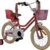 2Cycle Paris Meisjesfiets - 16 Inch - Roze-Wit - Met Poppenzitje - Meisjesfiets 2 2Cycle Paris Meisjesfiets - 16 Inch - Roze-Wit - Met Poppenzitje - Meisjesfiets -fiets 1200x1129 3