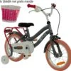 2Cycle Pretty Kinderfiets - 14 Inch - Grijs-Roze - Meisjesfiets 1 2Cycle Pretty Kinderfiets - 14 Inch - Grijs-Roze - Meisjesfiets -fiets 1200x1159 2