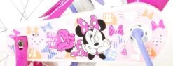 Disney Minnie Cutest Ever! Kinderfiets - Meisjes - 16 Inch - Roze -fiets 1200x459