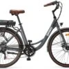 Elektrische Stadsfiets 26 '' (F264) - Stalen Frame - 6 Versnellingen Shimano - Schijfremmen - 10 Ah - Grijs -fiets 1200x776
