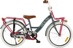 2Cycle Desire Kinderfiets - 20 Inch - Voordrager -Grijs-Roze - Meisjesfiets 11 2Cycle Desire Kinderfiets - 20 Inch - Voordrager -Grijs-Roze - Meisjesfiets -fiets 1200x783 5