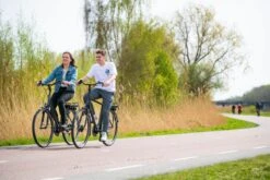 Amigo E-Vibe D1 - Elektrische Stadsfiets Voor Heren - Met 7 Versnellingen - Matgrijs -fiets 1200x800 9