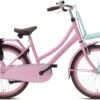 Valetta Cargo - Transportfiets - Meisjesfiets - 22 Inch - Mint Roze 1 Valetta Cargo - Transportfiets - Meisjesfiets - 22 Inch - Mint Roze -fiets 1200x801 3