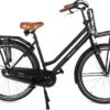 Wheelerz.nl Transportfiets 28 Inch 57 Cm Matzwart | Unisex 2 Wheelerz.nl Transportfiets 28 Inch 57 Cm Matzwart | Unisex -fiets 1200x811 1