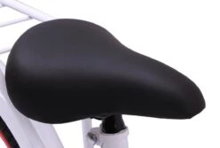 Amigo Sweetheart Meisjesfiets - Kinderfiets 20 Inch - Wit -fiets 1200x813