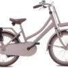 Valetta Cargo - Transportfiets - Meisjesfiets - 20 Inch - Mat Flamingo -fiets 1200x821 1