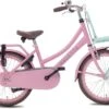 Valetta Cargo - Transportfiets - Meisjesfiets - 20 Inch - Mint Roze -fiets 1200x833 1