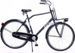 Amigo Forest - Transportfiets 28 Inch - Herenfiets Met Voordrager - Grijs