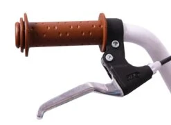 Amigo Bloom Meisjesfiets - Kinderfiets 20 Inch - Turquoise -fiets 1200x876 1