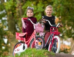 Amigo Magic Meisjesfiets - Kinderfiets 12 Inch - Wit -fiets 1200x917 18