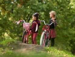 Amigo Bloom Meisjesfiets - Kinderfiets 20 Inch - Turquoise -fiets 1200x917 46