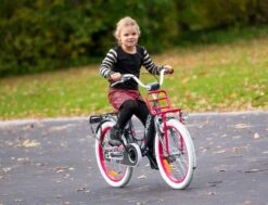 Amigo Bloom Meisjesfiets - Kinderfiets 20 Inch - Turquoise -fiets 1200x917 47